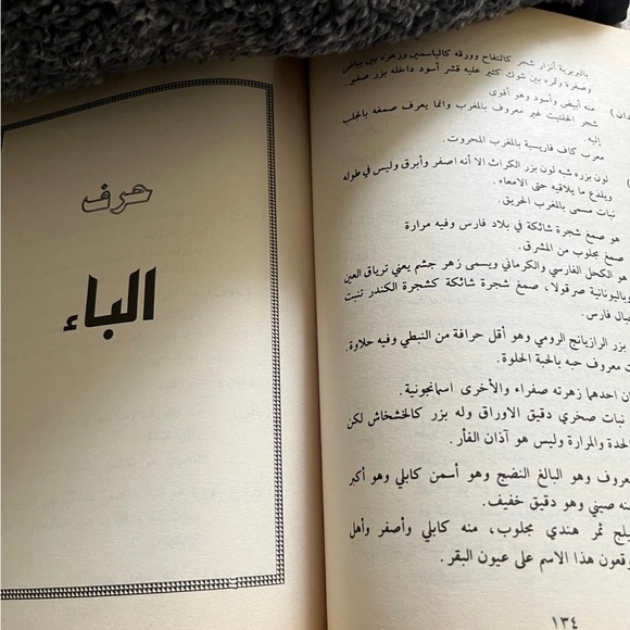 Book Arabic الرسالة الألواحية للشيخ الرئيس ابن سينا - Picture 6 of 7